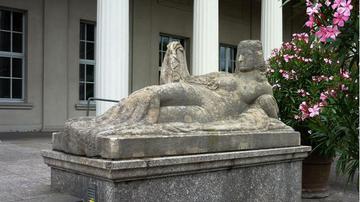 Kraft und Schönheit