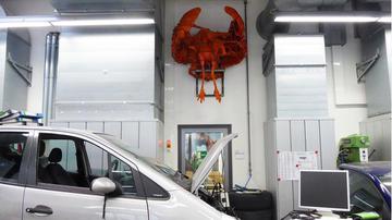 Vogel und Landschaft