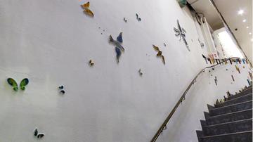 Vögel und Schmetterlinge