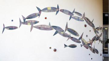 Wasser- und Landtiere