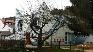 Katze auf der Pirsch