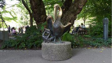 Pelikan- und Bibergruppe